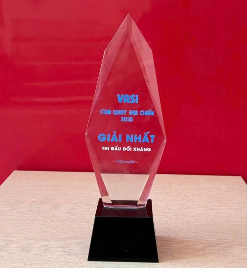 BẢO VINH – CHIẾN THẮNG RỰC RỠ TRONG CUỘC THI “CON QUAY ĐẠI CHIẾN VASI” TẠI FBC 2025